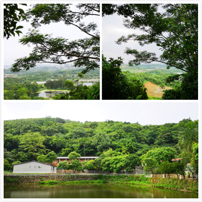 INON研工團(tuán)建活動(dòng)—廚藝大賽+音樂燒烤+拓展訓(xùn)練 INON研工團(tuán)建活動(dòng)—廚藝大賽+音樂燒烤+拓展訓(xùn)練